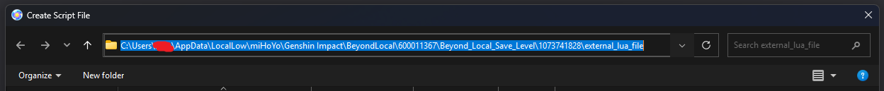 setup_copy_lua_dir_path.png
